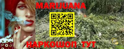 гидропоника Коммунар
