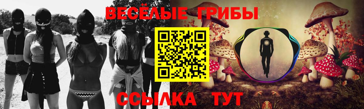 Кемерово  Псилоцибиновые грибы Cubensis  Вход с VPN 